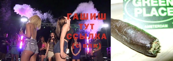 гашик Новодвинск