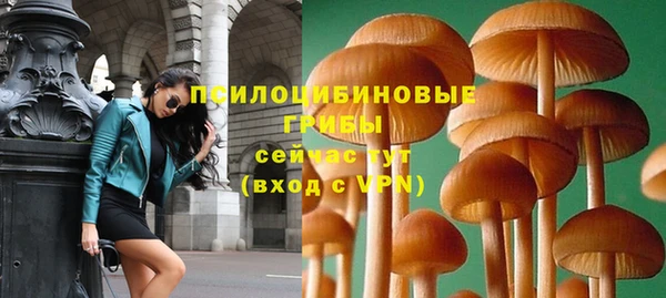мдпв Нея