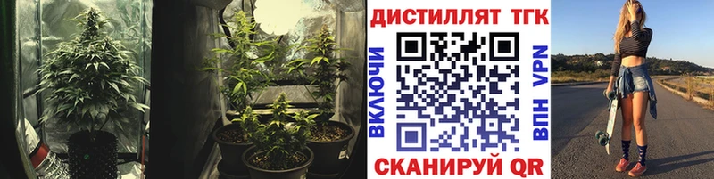 Дистиллят ТГК Wax  Новопавловск 