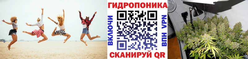 Бошки марихуана марихуана  купить   Новопавловск 